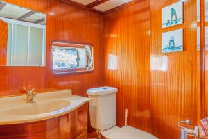 Caicco-Avrasia-Gulet-Avrasia-6