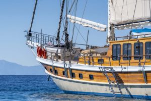 Cevri Hasan 5 gulet yacht (15)