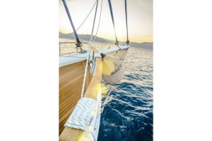 Wicked Felina, 2004 Bodrum Built gulet wicked Felina was completely refitted in 2016 and she is in pristine conditions to accomodate her privileged 10 guests with quality service