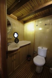 Harmonia gulet yacht-7 cabin gulet (6)    